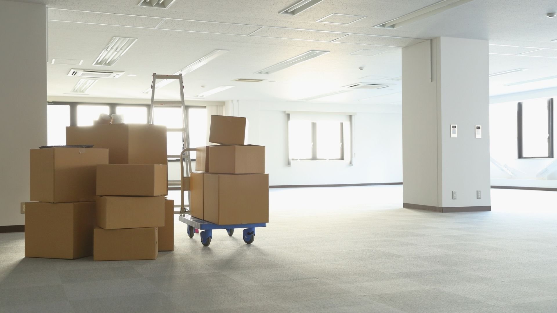Empty office space with cardboard boxes, dollies, and ladders during relocation or renovation.