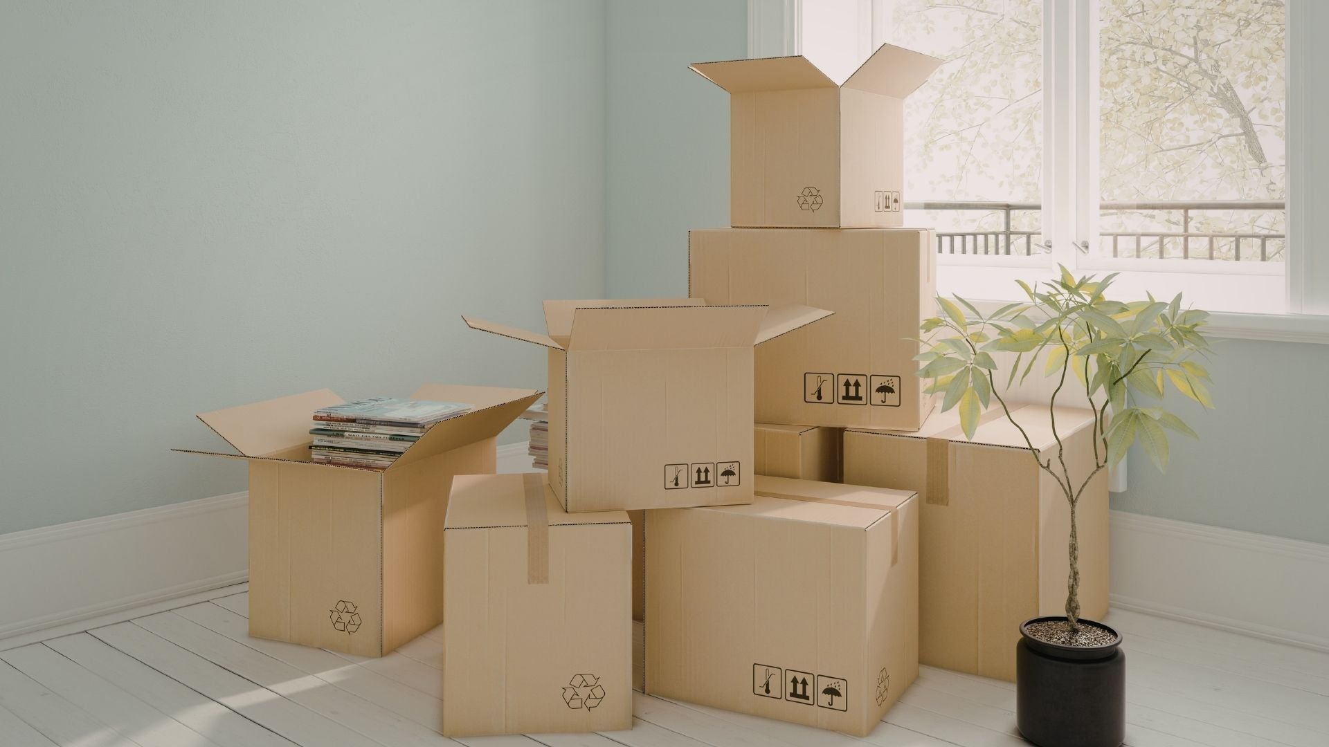 Cardboard moving boxes stacked in bright room with plant and windows