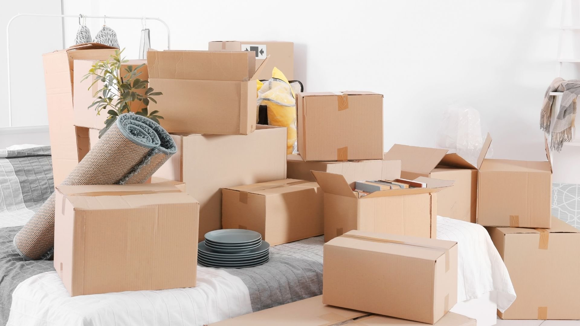 Moving boxes, rolled carpet, dishes, and household items in bright empty room.